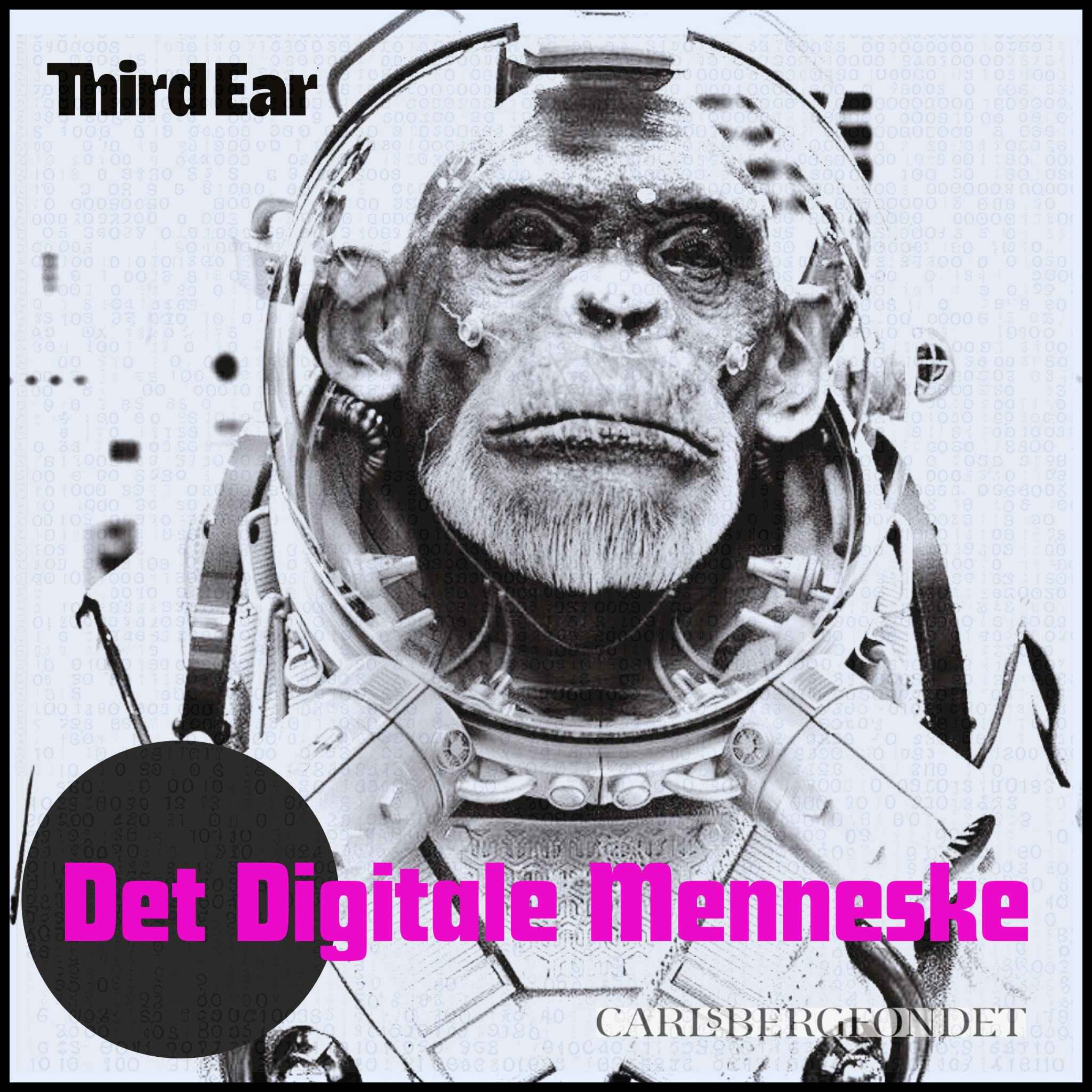 Det Digitale Menneske: Ponzi og tiktok pyramiderne artwork