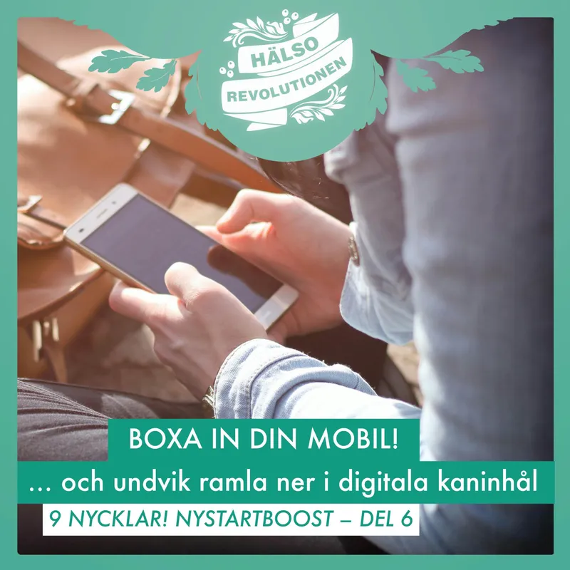 NYSTARTBOOST 2025/ 9 NYCKLAR – DEL 6: BOXA IN DIN MOBIL! artwork