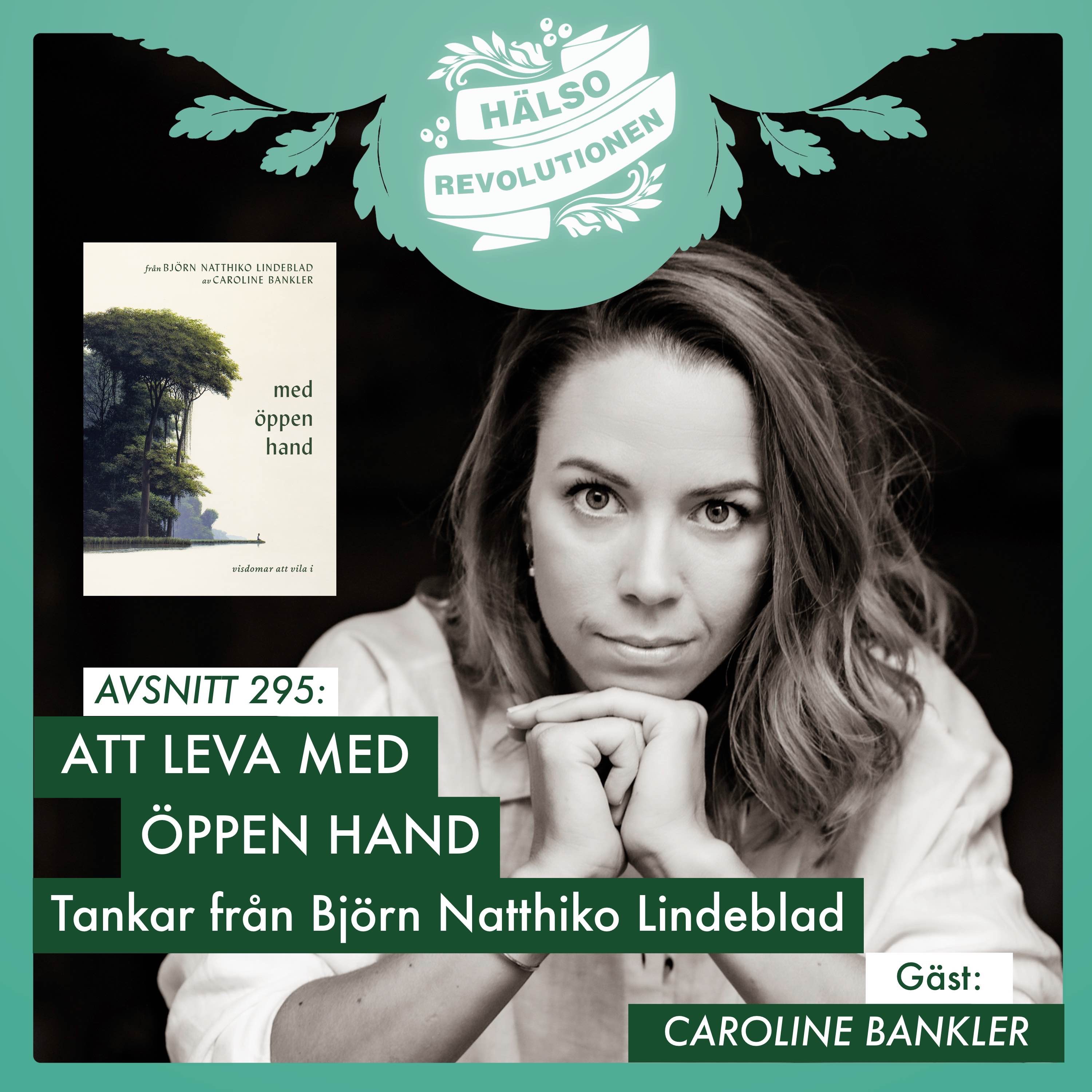 AVSNITT 295: ATT LEVA MED ÖPPEN HAND – BJÖRN NATTHIKOS TANKAR PÅ VÄGEN artwork