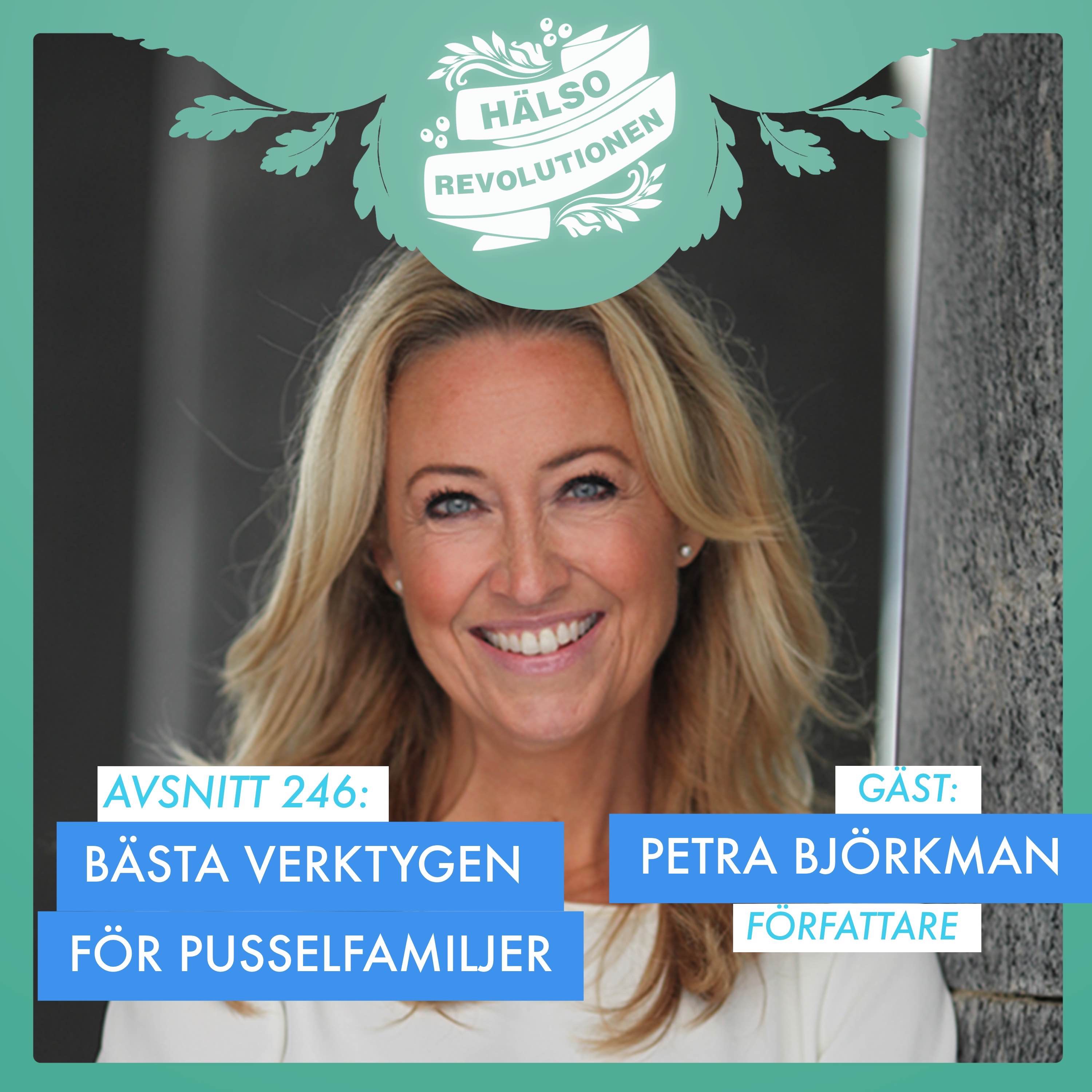 AVSNITT 246: BÄSTA VARDAGSVERKTYGEN FÖR PUSSELFAMILJER artwork
