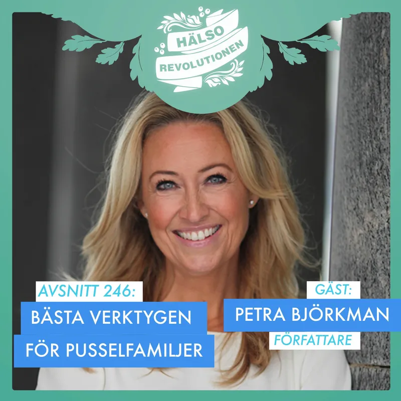 AVSNITT 246: BÄSTA VARDAGSVERKTYGEN FÖR PUSSELFAMILJER artwork