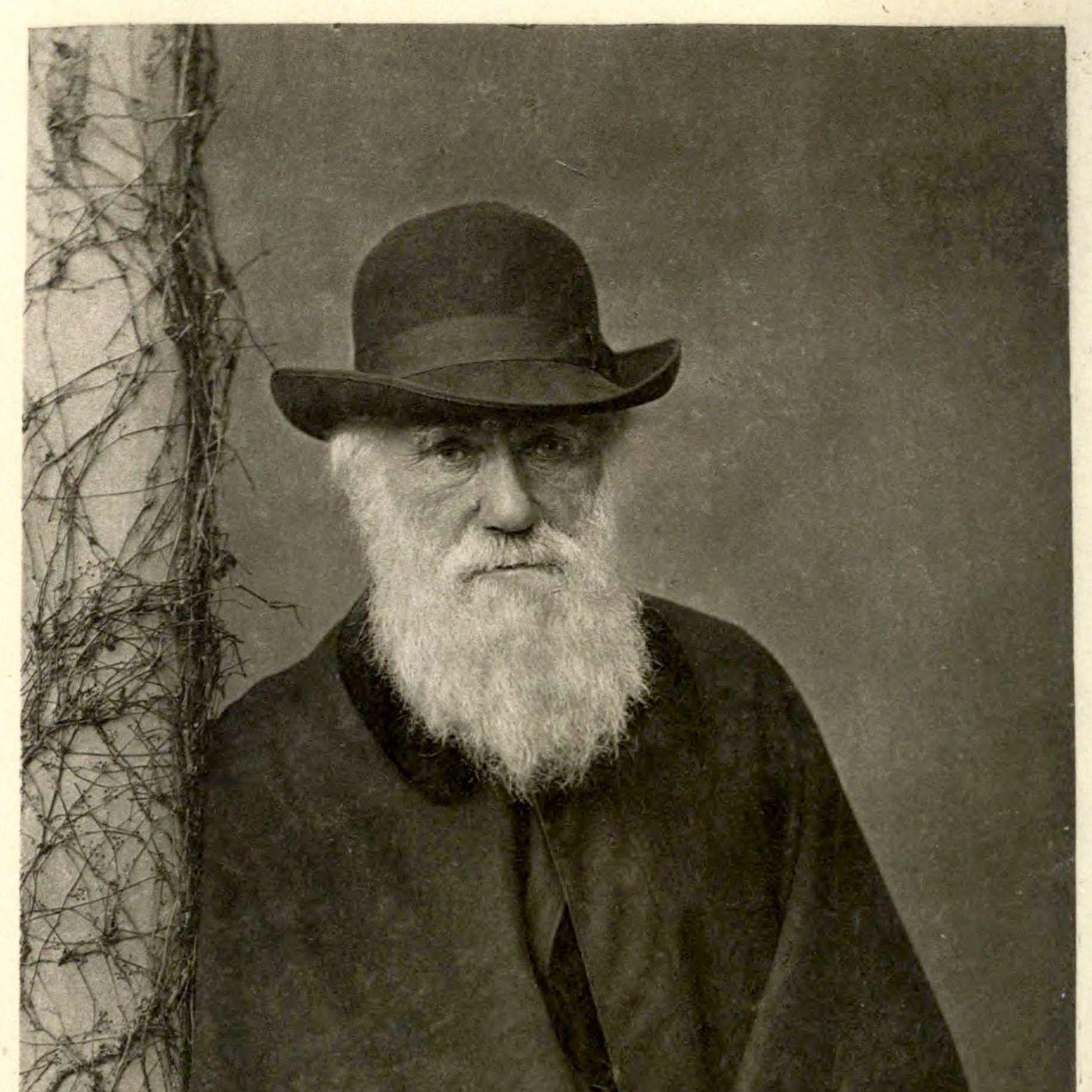 S13E8 Charles Darwin: Den store erkendelse artwork
