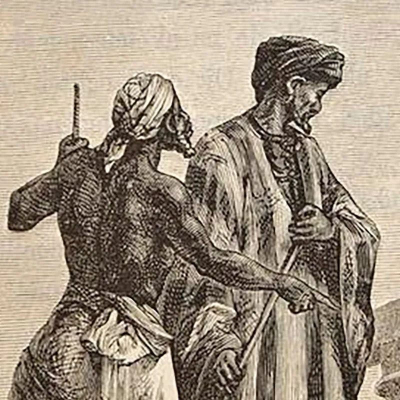 S8E2. Ibn Battuta: Den islamiske Marco Polo artwork