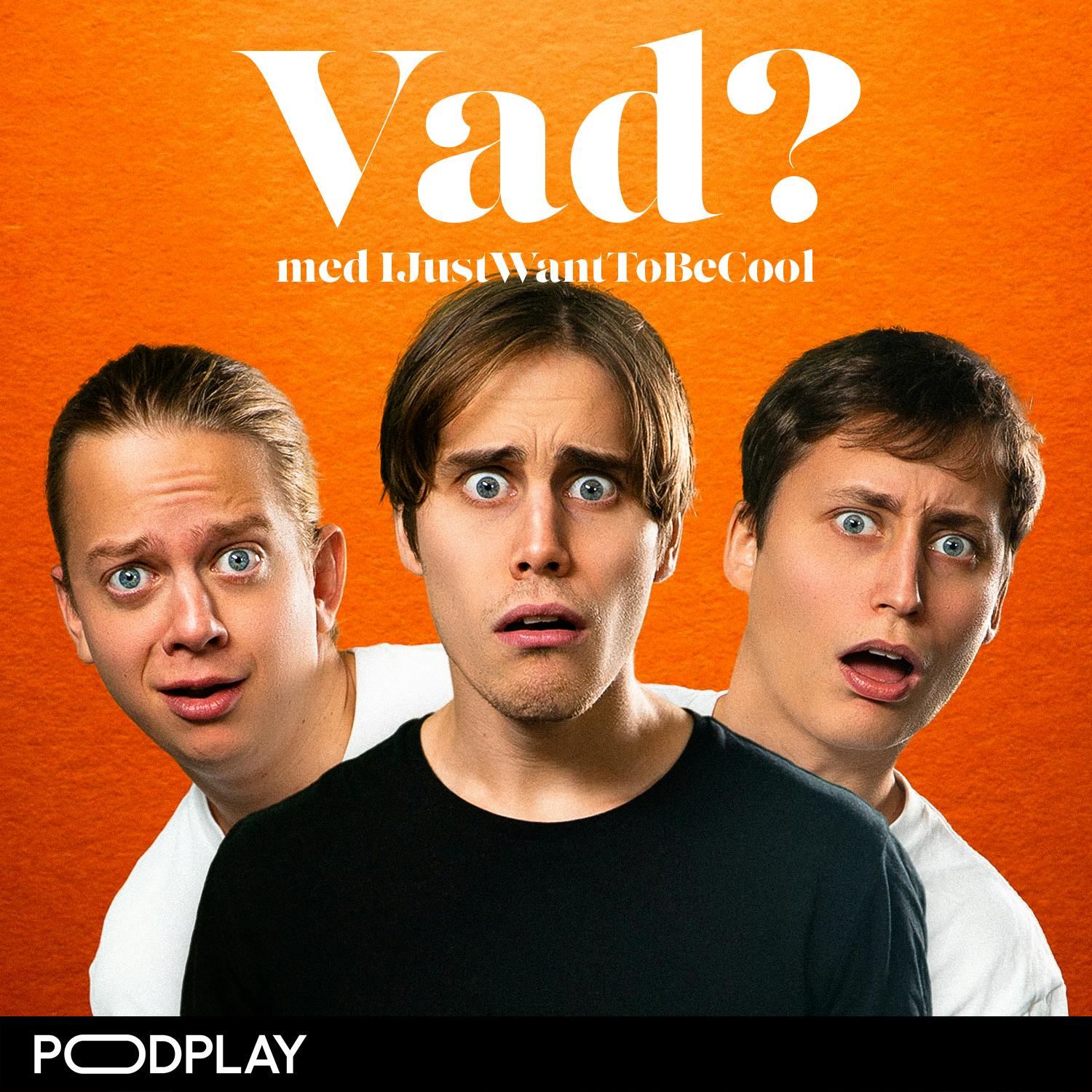 Vad? med IJustWantToBeCool cover art