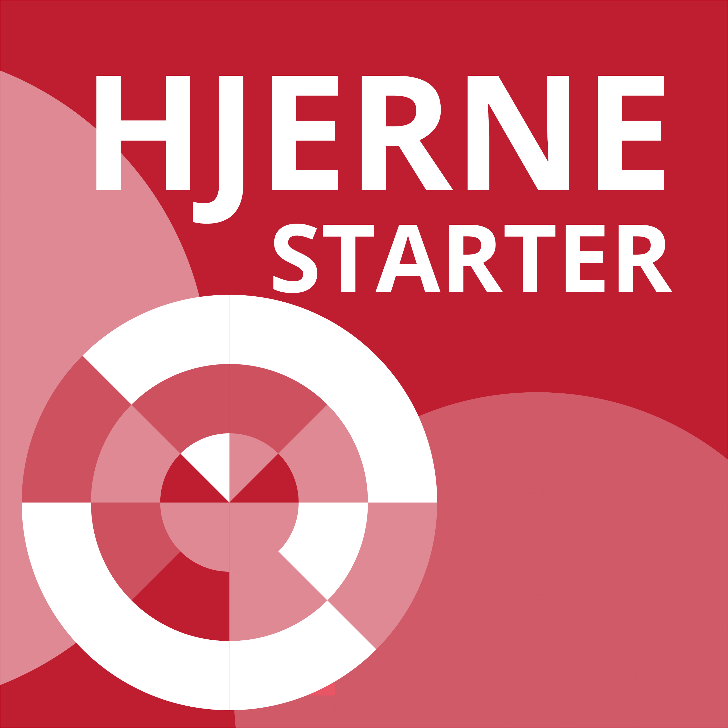 Hjernestarter cover art