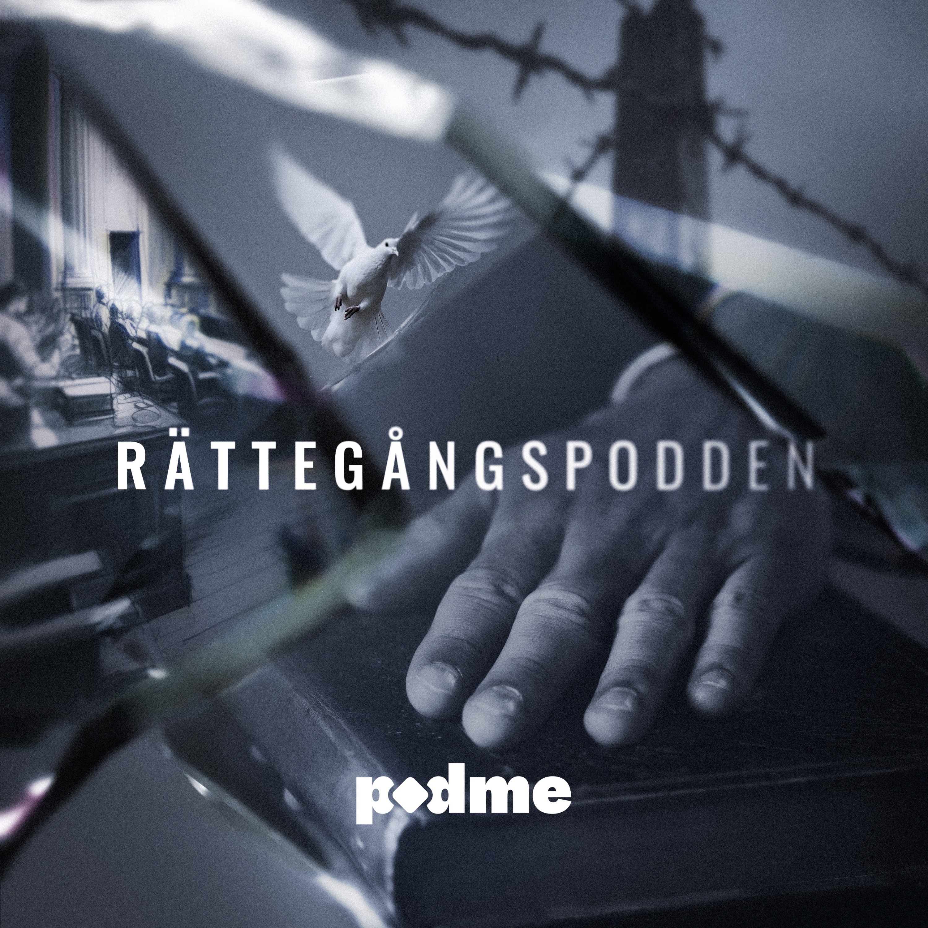Rättegångspodden cover art