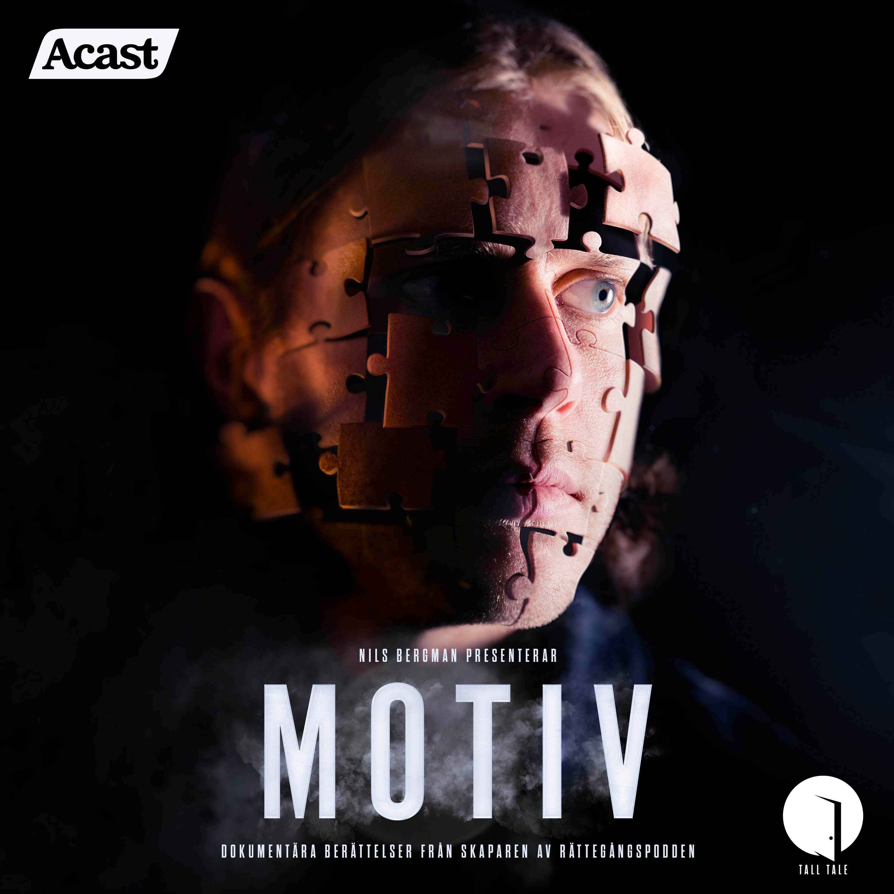 Motiv cover art