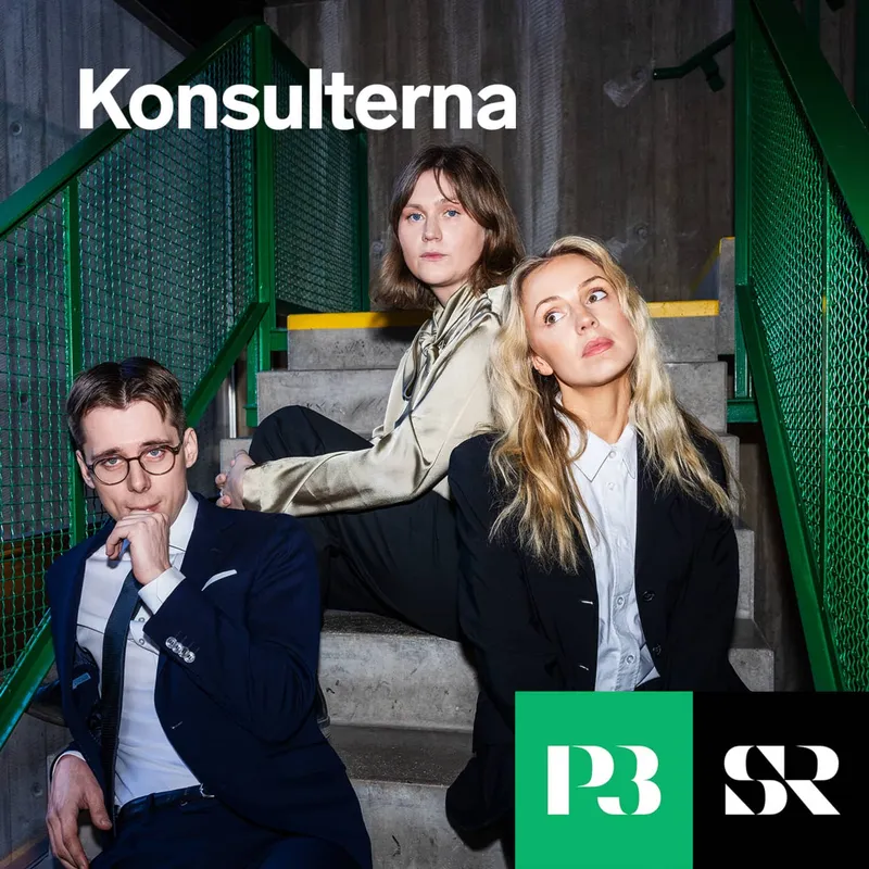 Konsulterna cover art