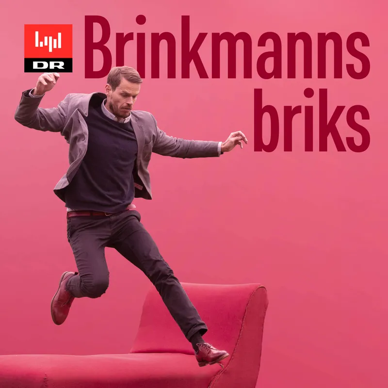 Brinkmanns briks cover art
