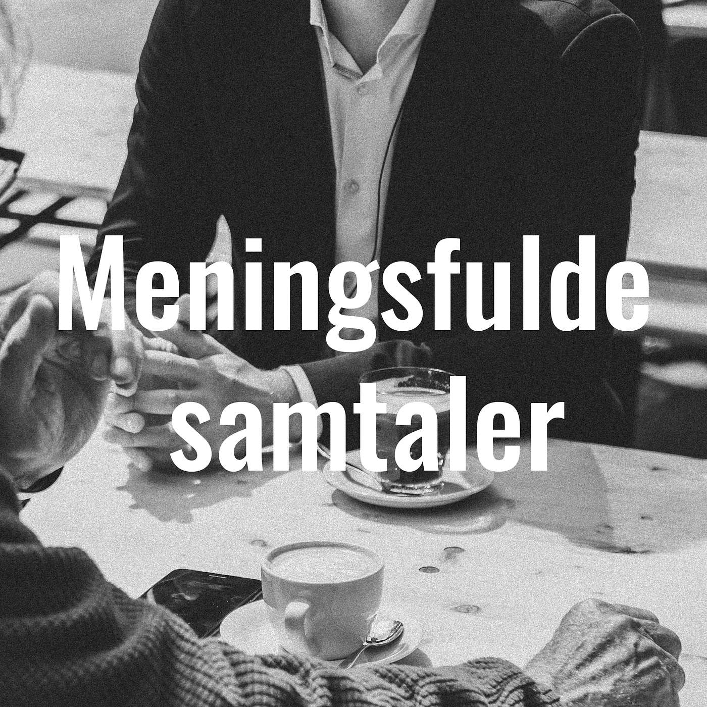 Meningsfulde Samtaler cover art