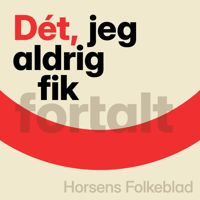 Dét, jeg aldrig fik fortalt cover art