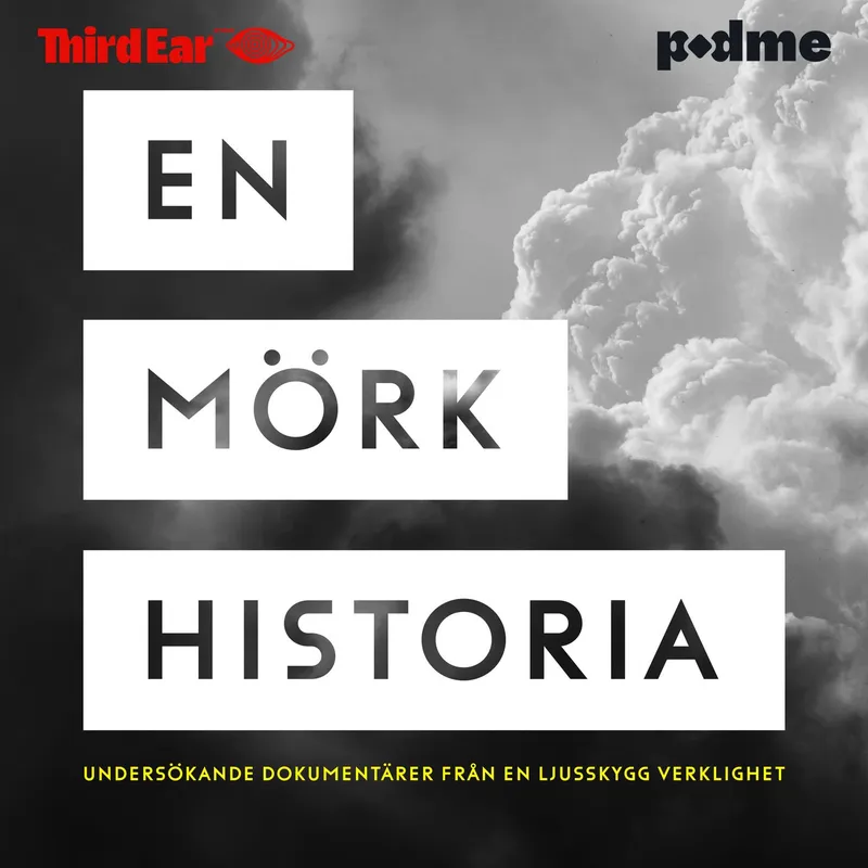 En mörk historia cover art