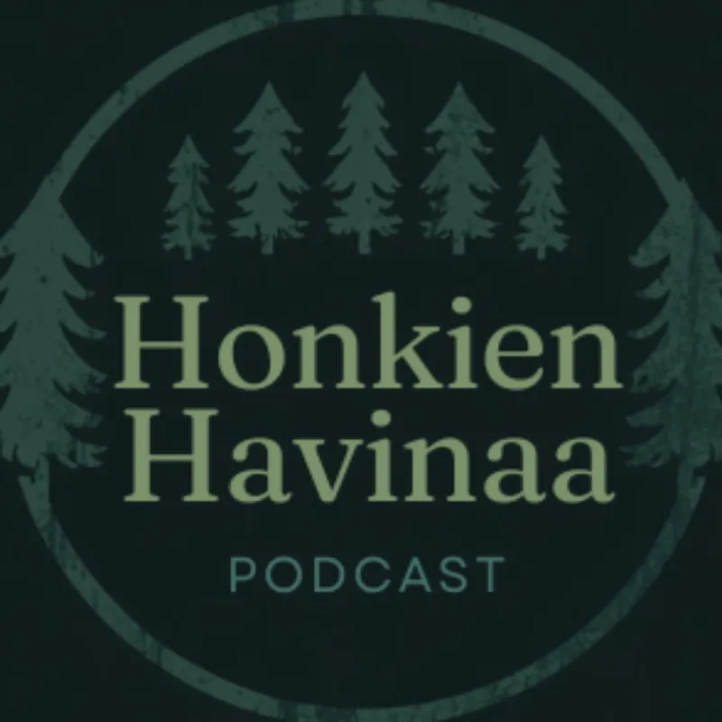 Honkien Havinaa cover art