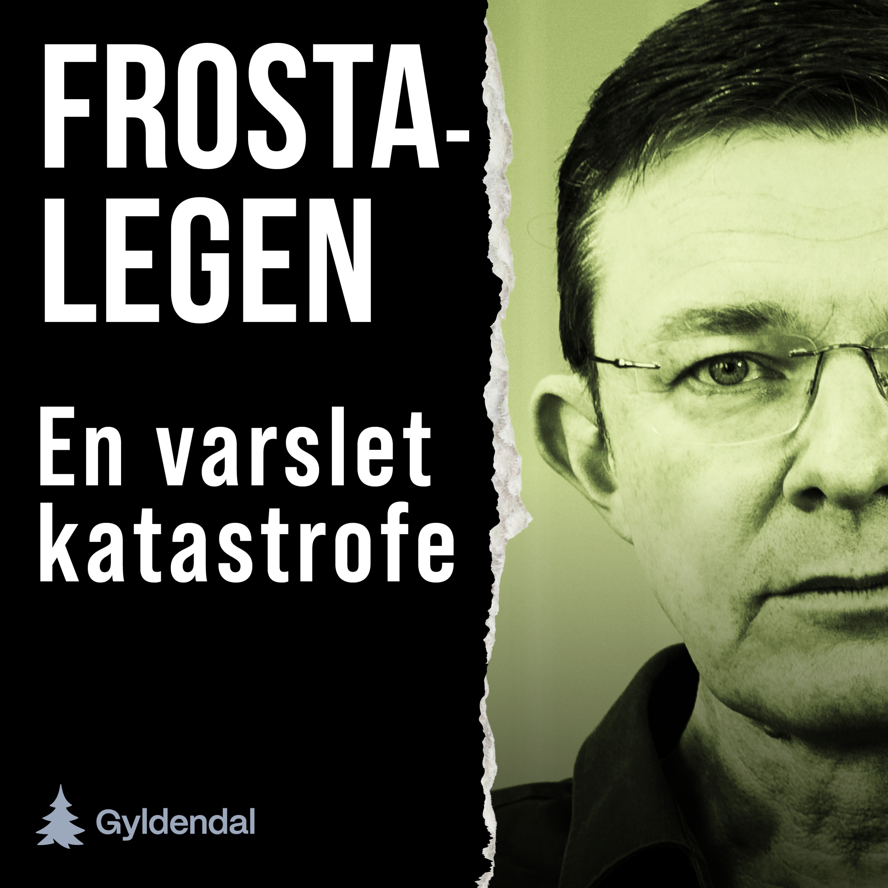 Frosta-legen. En varslet katastrofe cover art