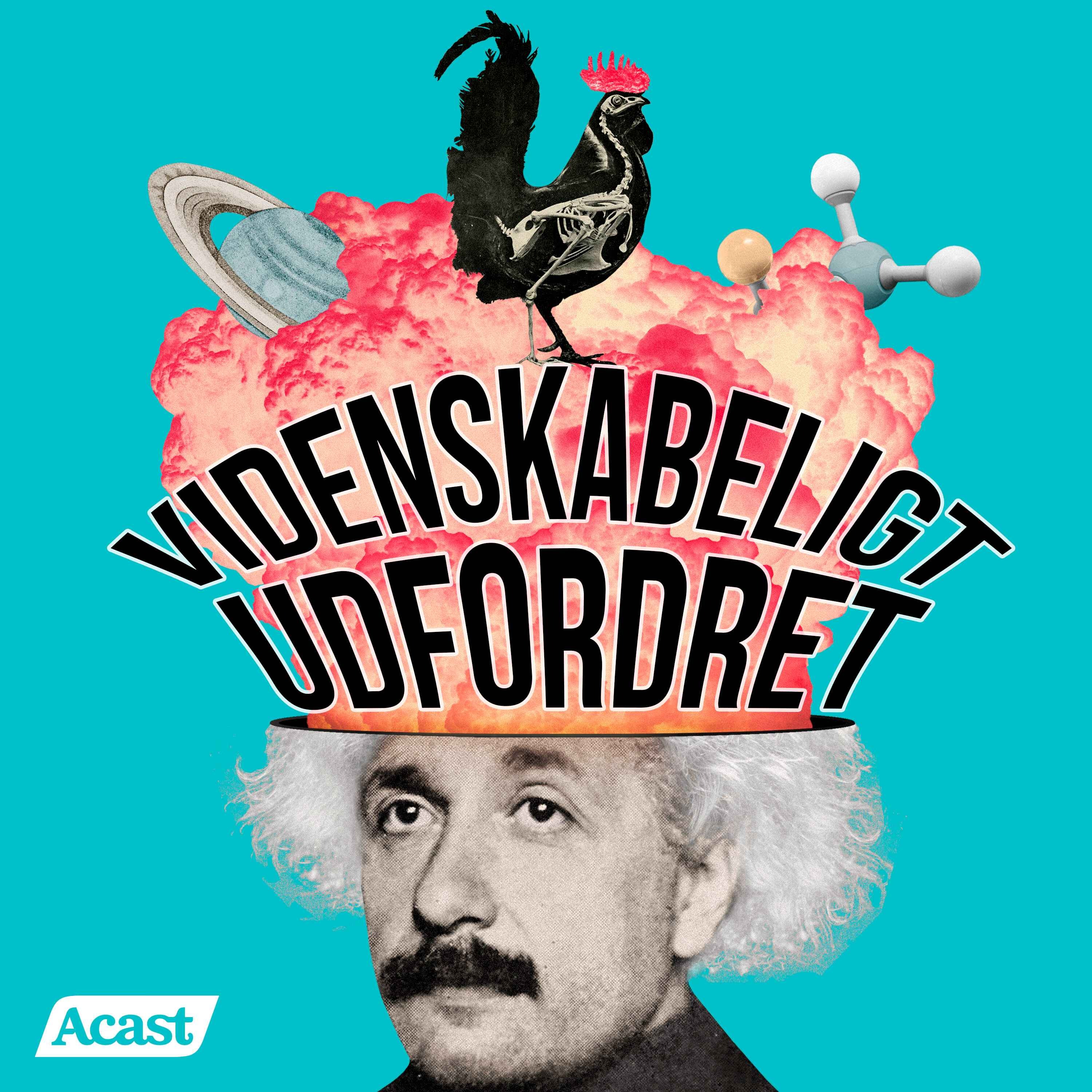 Videnskabeligt Udfordret cover art