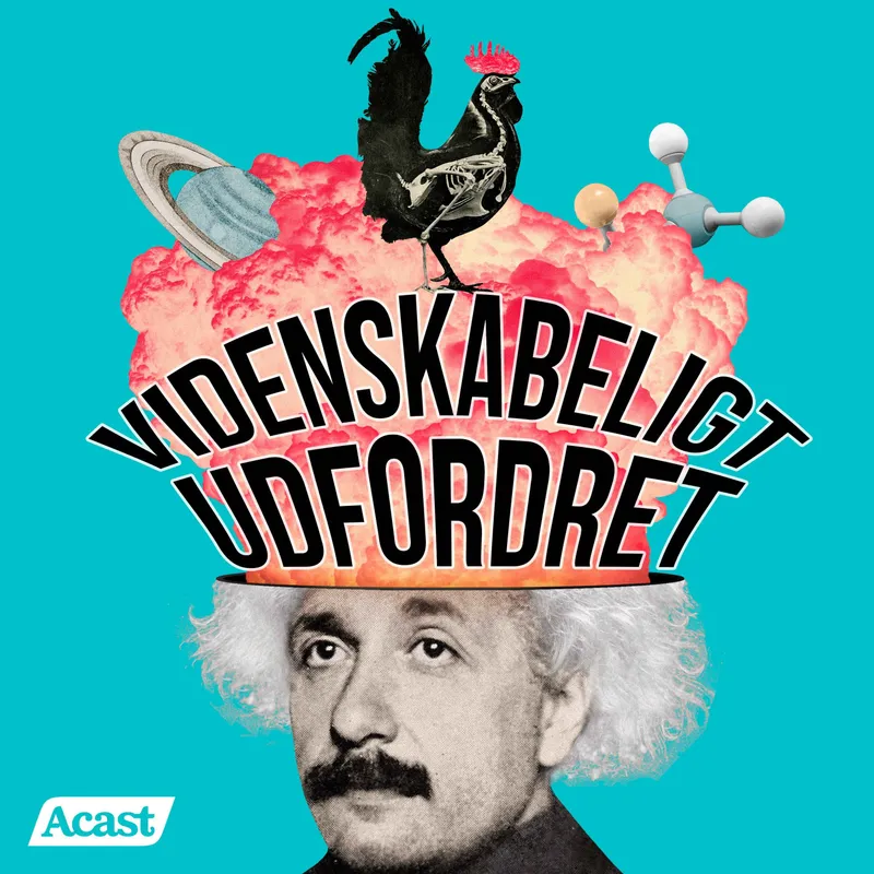 Videnskabeligt Udfordret cover art