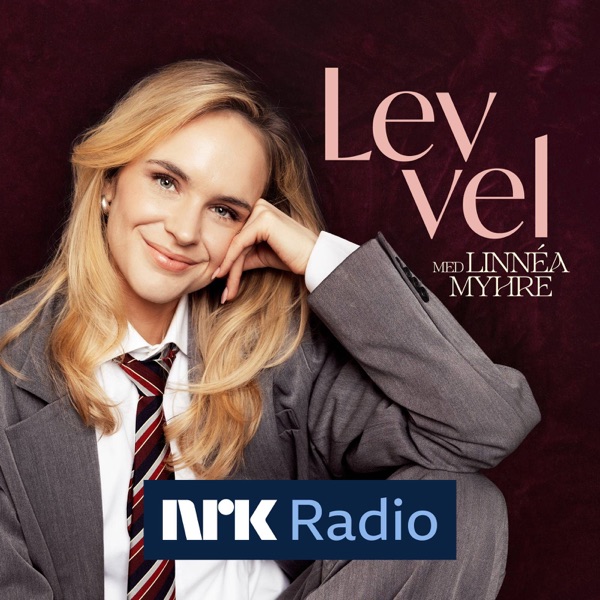 Lev vel cover art