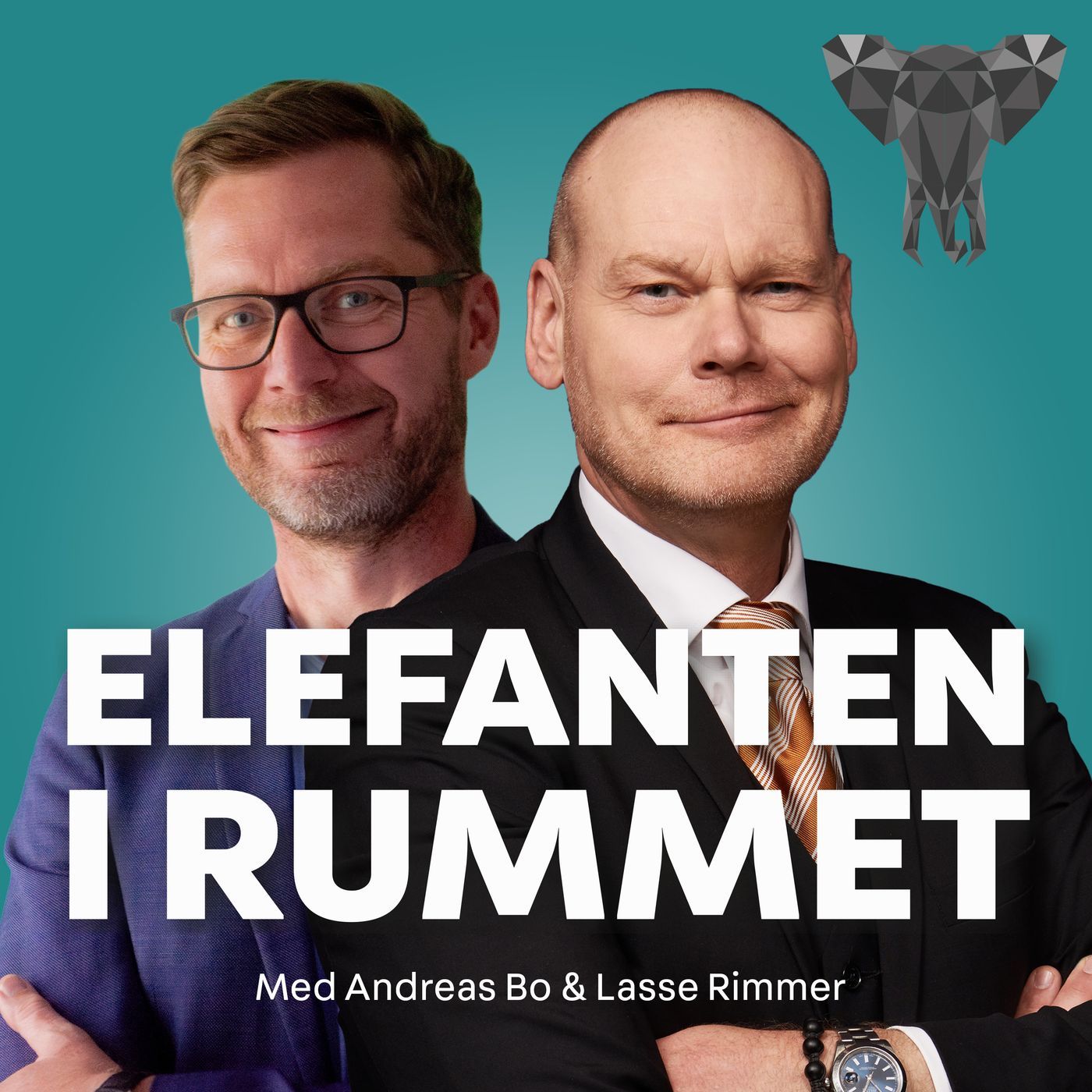 Elefanten i rummet cover art