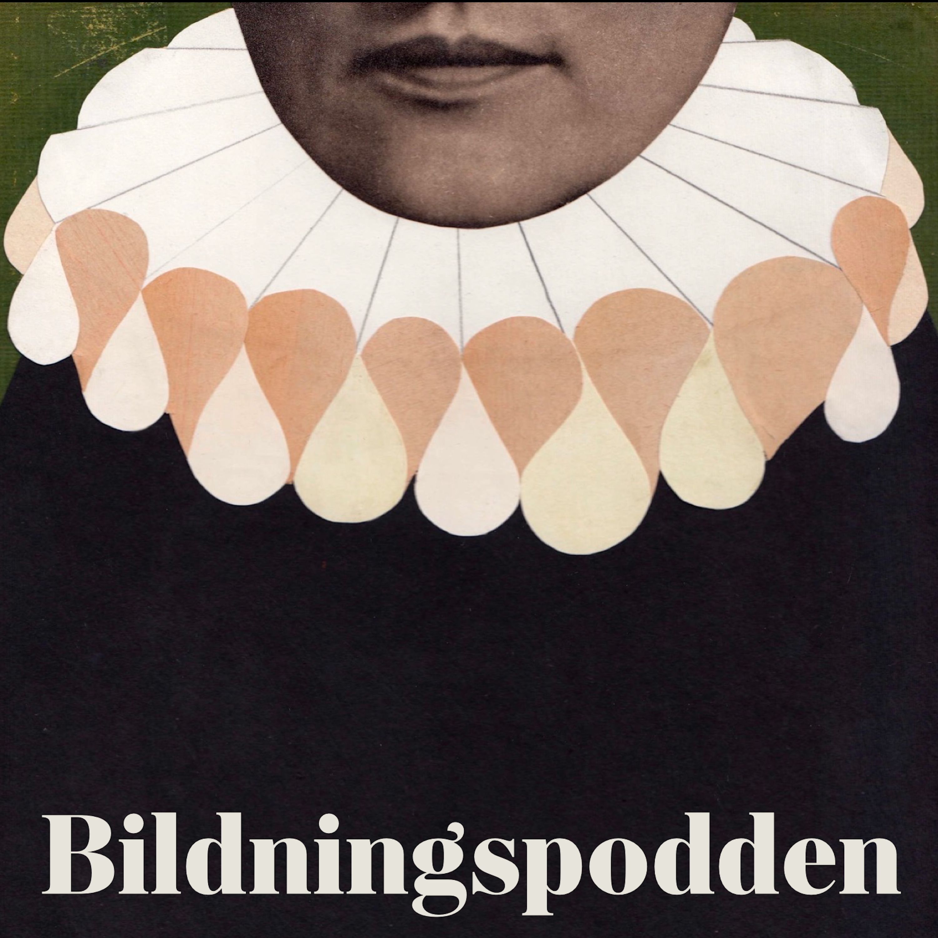Bildningspodden cover art