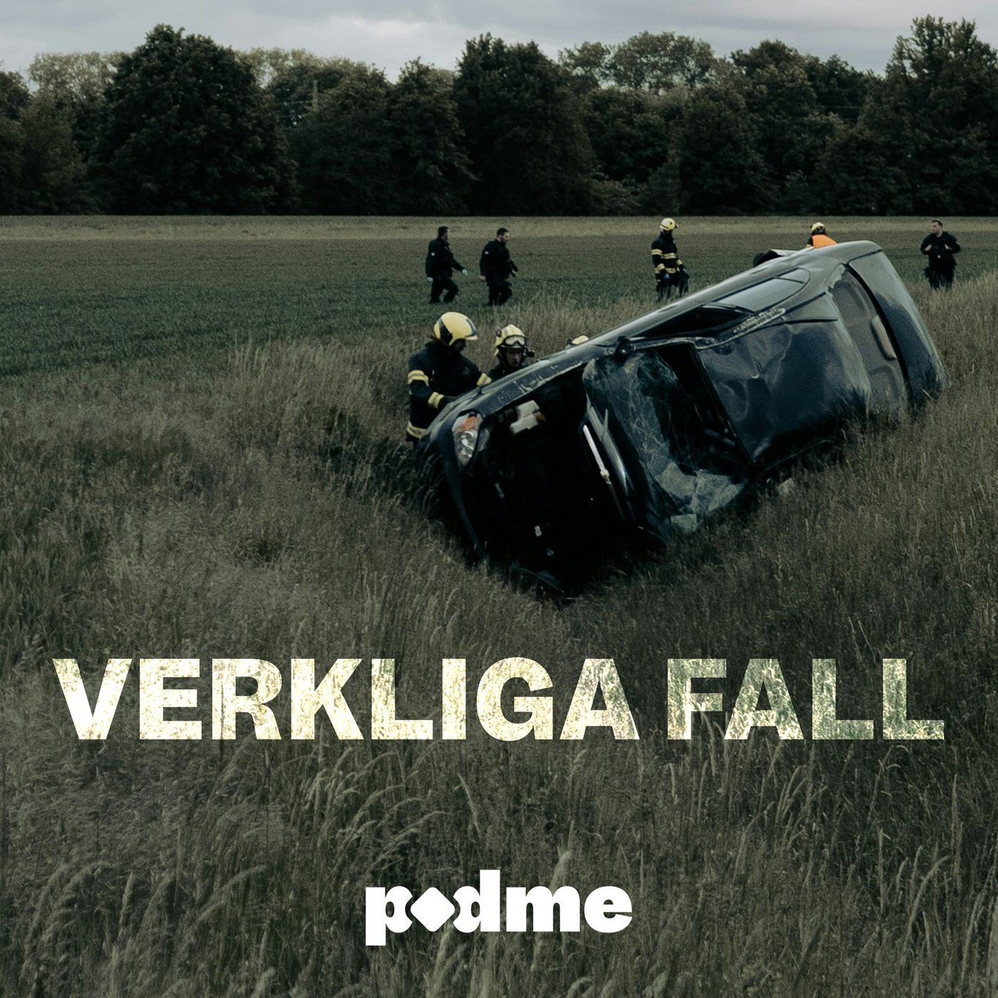 Podme Verkliga Fall cover art